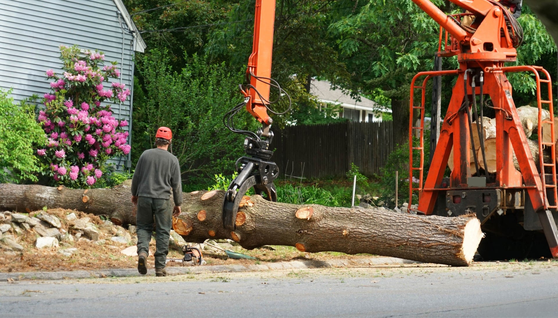 Local partner for Tree removal services in Newark