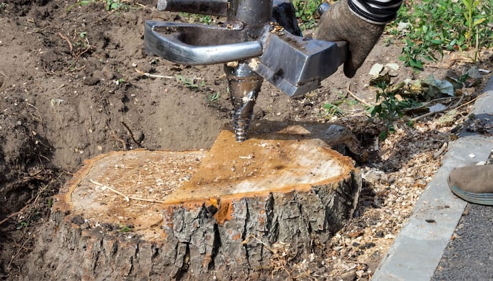 Newark Tree stump removal